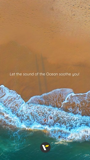 Close your eyes and let the ocean's whispers take you on a journey this World Ocean Day! Listen to the soothing sounds of the sea and the gentle voices of marine mammals. Feel the calm wash over you as you celebrate the beauty and importance of our oceans on World Ocean Day today. #Ocean #Sea #ASMR #OceanDay #WorldOceanDay | Veena World