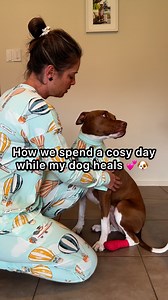 227K views · 8K reactions | Sometimes the best medicine is just being together  #doglover #puppylove #shelterdog #rescuedog | Amos Pearce | Facebook