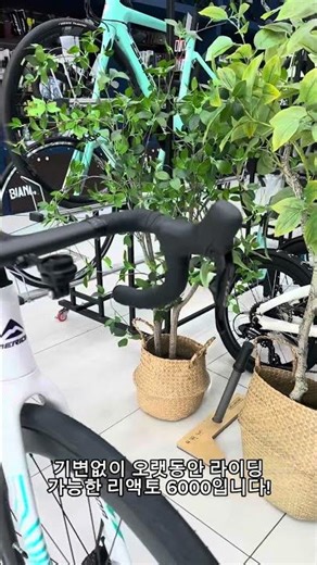 #메리다 #리액토 6000 할인 프로모션 #로드자전거 #심즈바이크