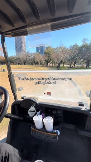 No problems on the golf course. 🤷🏽‍♂️ #golf #golftiktok #golfer #fyp #trending