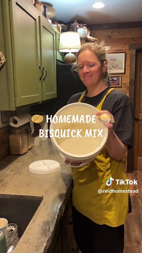 Homemade Bisquick Mix for Pancakes and Waffles
