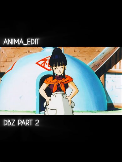 Dragon Ball Z Part 2: Namkeen Edition