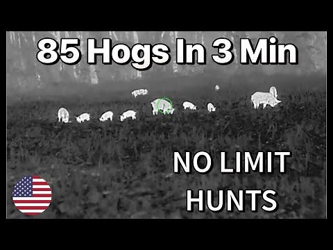 NIGHTTIME THERMAL HOG HUNTS: UNLEASHING the Swat Team - November Highlights