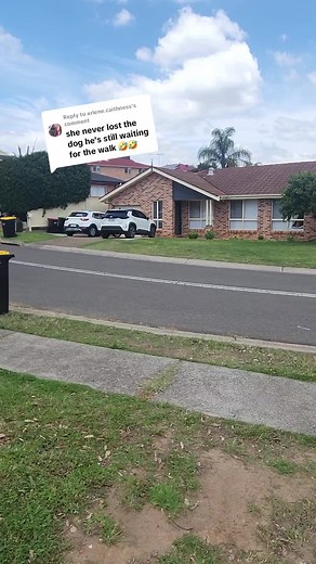 Funny Dog Running in Stilettos | Hilarious Animal Video