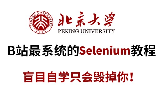 【Selenium天花板】只要一周学会Selenium爬虫 案例，全程项目实战，看完全套比啃书效果好多了！