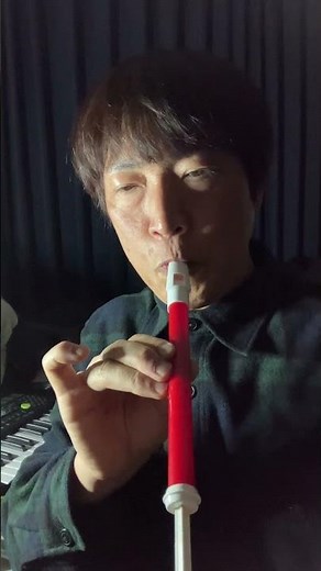 〈楽器〉スライドホイッスルでベートーヴェン交響曲第９番第４楽章「合唱付き」（歓喜の歌）を吹いてみた