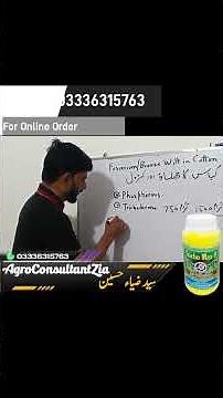 Fusarium Wilt in Cotton