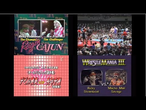 Top 75 Pro Wrestling Matches of the 1980's