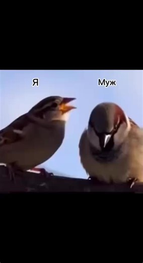 😂😂😂😂