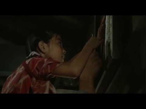 宮尾登美子原作 映画「櫂(かい)」予告