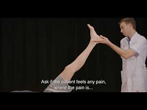 Straight Leg Raise Test (Lasègue test)