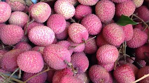 Farm to Fork: Lychee recipe you can't resist