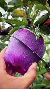 ST-209583 | Mini Rotary Tillage Tool | Satisfying Weed Cut 🌱