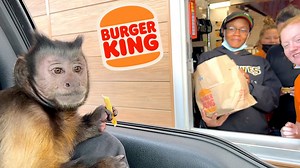 MonkeyBoo takes a trip to the Burger King drive thru to order some healthy salads! | MonkeyBoo