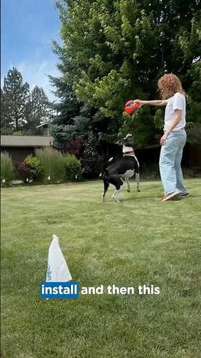 My Dog Can Finally Enjoy the Yard | Invisible Fence® Brand Review