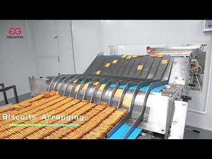 How Biscuits Are Made In Factory? - Biscuit Production Line