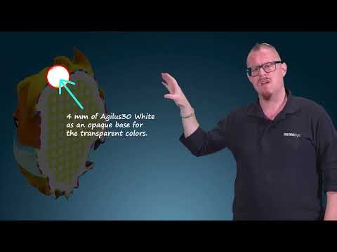 Stratasys Academy | PolyJet 3D Printing Materials: Agilus30™ Colors