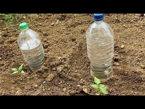 Make Drip Irrigation from recycled plastic bottles/Self watering System for Plants made simple
