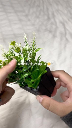 勉強動画作るために色々準備中です🙂‍↕️#生活音 #購入品紹介 #fypシ