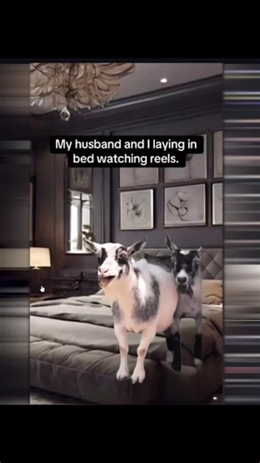 Hilarious Moments with Daz Black in Daz Games