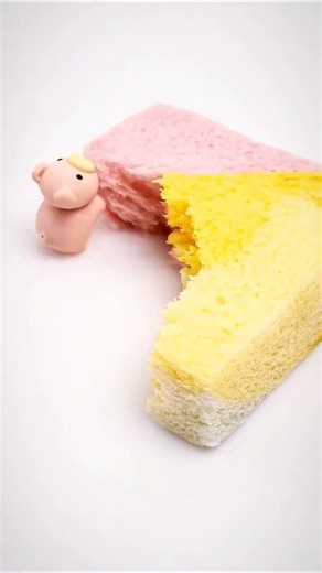 Mouse vs Giant Sponge Cake 😂