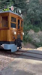 98K views · 3.5K reactions | A walk in the mountains found the train today… Pic by Mimi Dean | Soller Web | Facebook