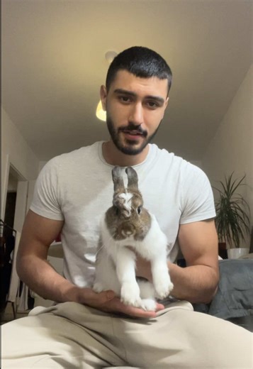 I’m making this video to raise awareness about the importance of exercise for your pet rabbit to keep it healthy