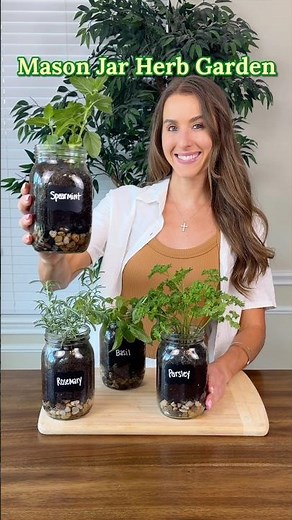 MASON JAR HERB GARDEN 🪴🪟 Try this windowsill indoor garden! #windowsillgarden #indoorplants