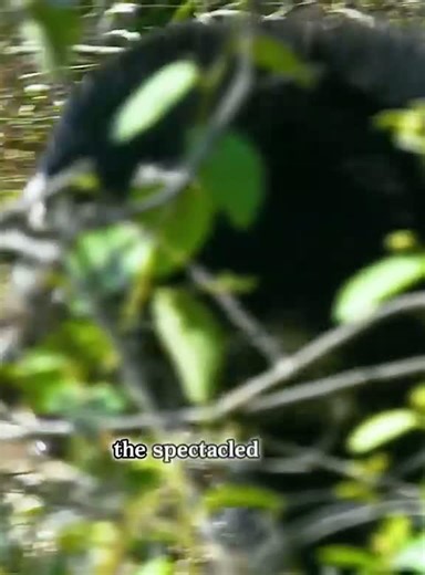 From the smallest insect to the largest predator, every life matters! Follow for more (16) - NewsBreak