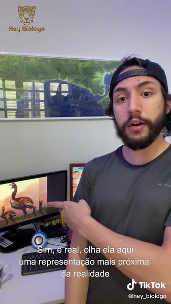 A Ave Elefante de Madagascar: O Gigante do Passado