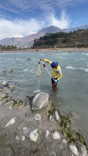 鯉とナマズ網で捕獲？ 🎣🐟