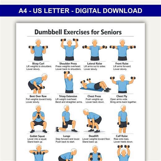 Printable Dumbbell Exercises for Seniors, Printable Dumbbell Workout Poster, Senior Dumbbell Workout Chart Printable, Dumbbell Workout Pdf - Etsy