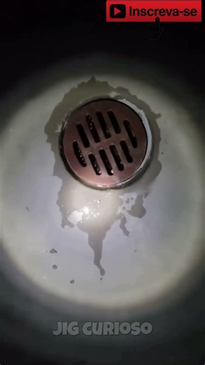 Meu Cachorro Não Parava De Latir Para O Ralo Do Porão