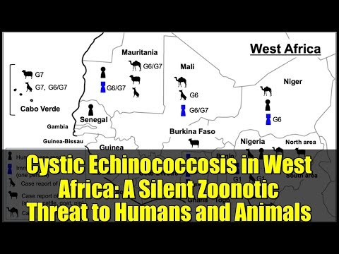 Cystic Echinococcosis in West Africa: A Silent Zoonotic Threat to Humans and Animals
