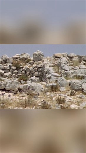 He believes he found the altar built by Joshua at Mount Ebal. A very good proof that we deal here with a real first Israelite altar where our people has started the real roots of everything. It was a moment he will never forget. #JoshuaAltar #MountEbal #IsraeliteHistory #BiblicalHistory #AncientAltar From: Archeology Series 01 Episode 05 | Odyssey - Ancient History