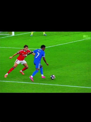 vini new celebration