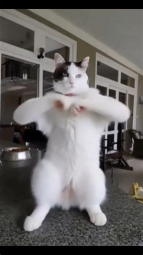 21 de março de 2026