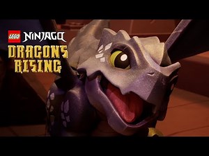 NINJAGO Dragons Rising | Baby Dragon Riyu