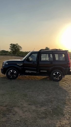 DIY Cardboard Eagle Making Tutorial