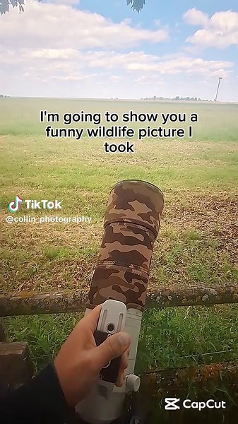 Collin-photo on TikTok