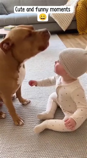 Pitbull and Baby Have Their Own Secret Language 😂 #shorts