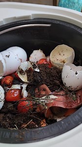 4.6K views · 398 reactions | Running the #lomi composter | Little Bit Wildlife Rescue | Facebook