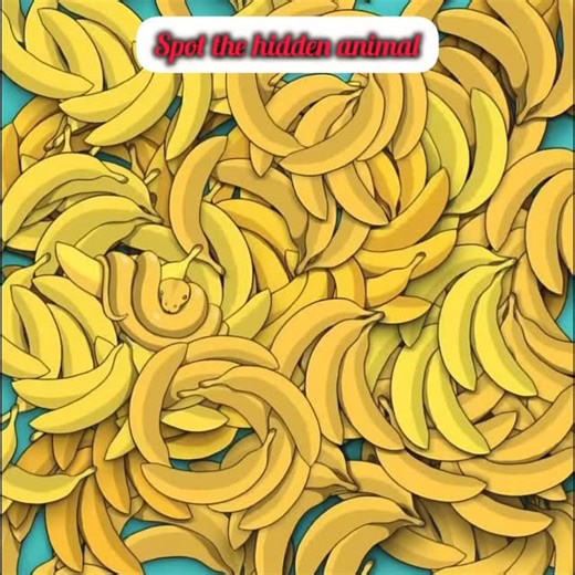 Puzzle World on Instagram: "Find the hidden Animal... #puzzles #puzzletime #puzzle #puzzlelover #puzzlemania"