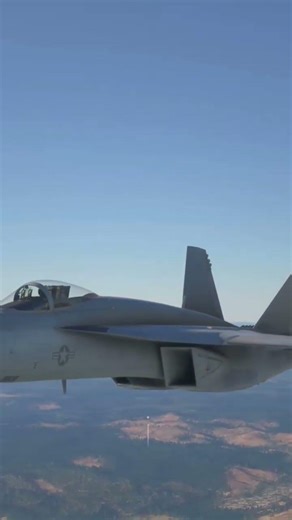 Flight simulator 2020