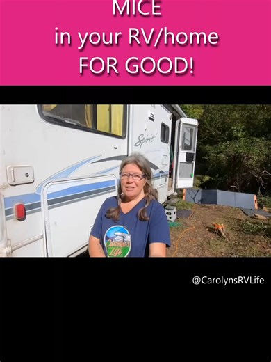 Effective Strategies to Eliminate Mice in Your RV