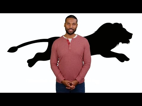 Drawing Animals Explained – How to Capture Life, Movement, and Personality on Paper