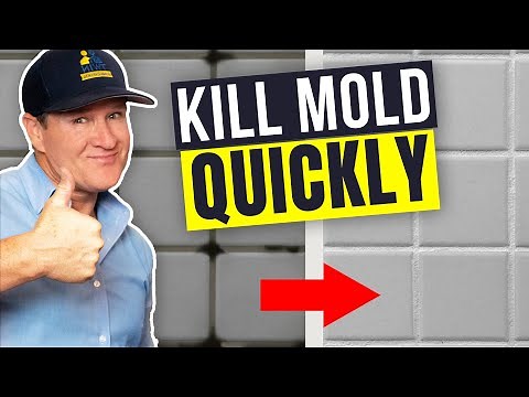 How to REMOVE Mold from Your Bathroom Walls, Grout and Silicone QUICKLY- Twin Plumbing