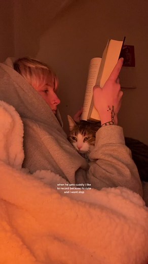 Cozy Cat TikTok Compilation: Cute Cathug and Comfy Cats Snuggling