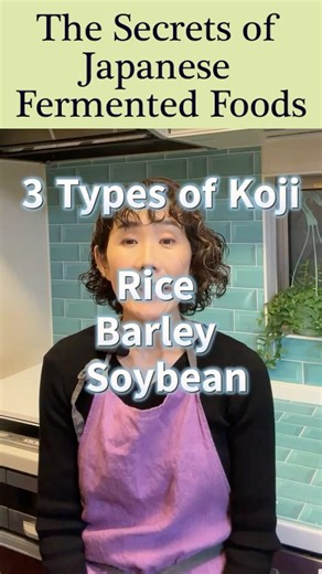 3 Types of Koji Used in Japanese Cooking #shorts