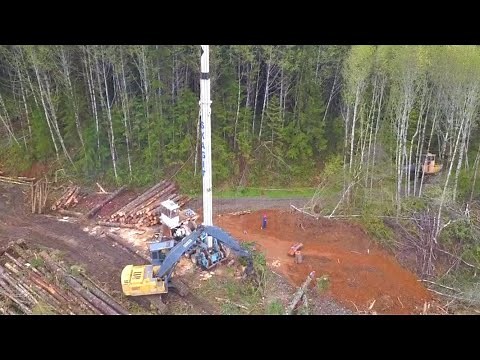 Yarder logging in capitol forest.